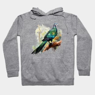 Nicobar Pigeon Hoodie